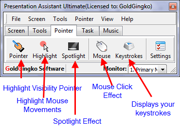 Electronic Pointer